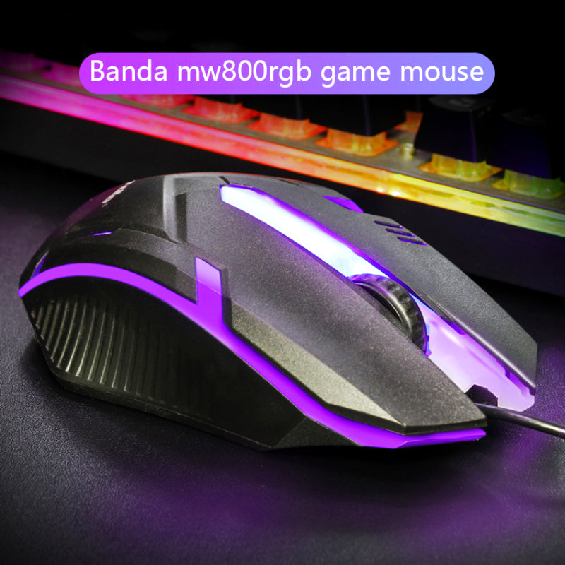 Control, Dazzling Lighting, and Streamlined Comfort